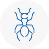 Ant Removals In County Durham