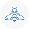 Bee Nest Removal County Durham