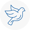 Bird Prevention County Durham