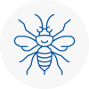 County Durham Hornet Nest Removals