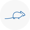 Mice Exterminators In County Durham