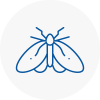 Moth Control Specialists In County Durham