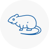 Rat Control County Durham