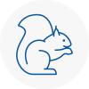 County Durham Rodent Removals